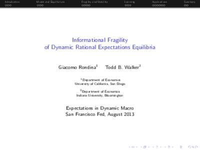 Informational Fragility   of Dynamic Rational Expectations Equilibria