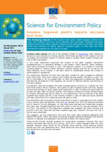 Invasive hogweed plant’s impacts decrease over time 28 November 2013 Issue 352 Subscribe to free