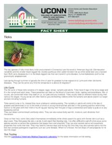 Ticks  The two species of ticks most likely to be encountered in Connecticut are the wood or American dog tick (Dermacentor variabilis) and the smaller black-legged tick (Ixodes pacificus) often called the deer tick as w