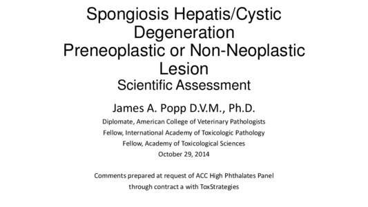 Spongiosis Hepatis/Cystic Degeneration Preneoplastic or Non-Neoplastic Lesion Scientific Assessment