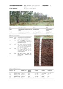 back Soil landform map unit: FLP3; Floodplain, type 3, upper river valleys