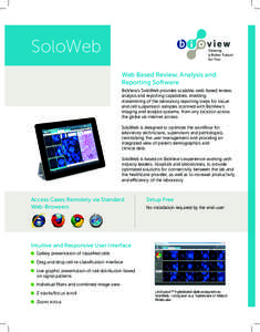 SoloWeb  Viewing a Better Future for You