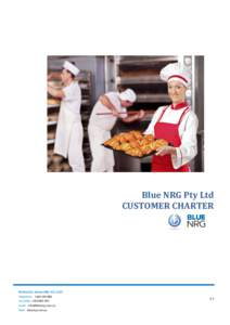 Blue NRG Pty Ltd CUSTOMER CHARTER PO Box 311, Surrey Hills, VIC, 3127 Telephone: [removed]Facsimile: [removed]