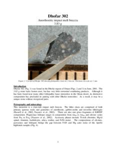 Dhofar 302 Anorthositic impact melt breccia 3.83 g Figure 1: Cut slab of Dhofar 302 showing feldspathic clasts in a breccia. Divisions on scale are 1 mm.