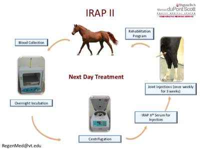 IRAP II Rehabilitation Program Blood Collection  Next Day Treatment