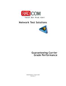 Network Test Solutions  Guaranteeing Carrier Grade Performance  ©RADCOM Ltd., March 2002