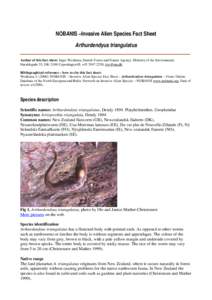 Geoplanidae / New Zealand flatworm / Platyhelminthes / Flatworm / Earthworm / Worm / Planarian / Christensen / Mather / Zoology / Taxonomy / Biology