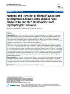 Exploring the gonad transcriptome of two extreme male pigs with RNA-seq