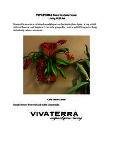 VIVATERRA	
  Care	
  Instructions:	
   	
  Living	
  Wall	
  Art	
   	
   Mounted	
  in	
  moss	
  on	
  a	
  reclaimed	
  wood	
  plaque,	
  our	
  fascinating	
  Lava	
  Spray	
  -­‐	
  a	
  ti