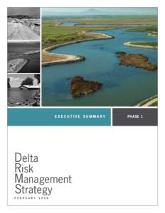 EXECUTIVE SUMMARY  Delta Risk Management Strategy