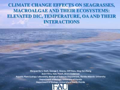 CLIMATE CHANGE EFFECTS ON SEAGRASSES, MACROALGAE AND THEIR ECOSYSTEMS: ELEVATED DIC, TEMPERATURE, OA AND THEIR INTERACTIONS  Marguerite S. Koch, George E. Bowes, Cliff Ross, Xing-Hai Zhang