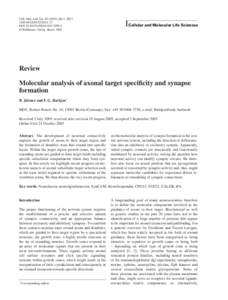 Neurophysiology / Neurology / Cellular neuroscience / Neurobiology / Neurexin / Chemical synapse / Astrocyte / Synaptic plasticity / Neuron / Biology / Neuroscience / Nervous system