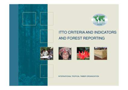 ITTO CRITERIA AND INDICATORS AND FOREST REPORTING INTERNATIONAL TROPICAL TIMBER ORGANIZATION  C&I Evolution