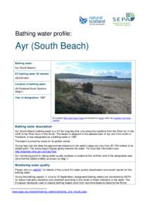 Ayr South Beach bathing water profile