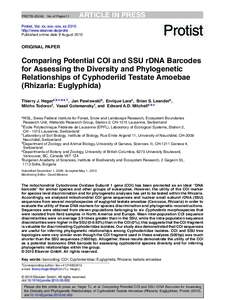 Comparing Potential COI and SSU rDNA Barcodes for Assessing the Diversity and Phylogenetic Relationships of Cyphoderiid Testate Amoebae (Rhizaria: Euglyphida)