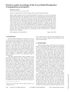 Putative audio recordings of the Ivory-billed Woodpecker (Campephilus principalis) Michael D. Collinsa) P.O. Box 1975, Pearl River, Louisiana[removed]Received 2 August 2010; revised 2 December 2010; accepted 16 December 