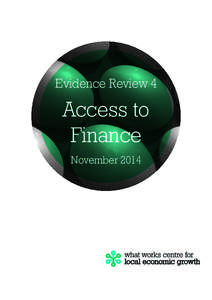 Evidence Review 4  Access to Finance November 2014