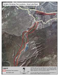 Suitable Christmas 1450km Tree Locations - Scout Lake Road 1448km Alaska  Hwy