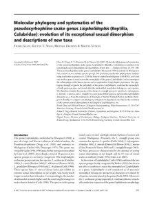 Molecular phylogeny and systematics of the pseudoxyrhophiine snake genus Liopholidophis (Reptilia, Colubridae): evolution of its exceptional sexual dimorphism