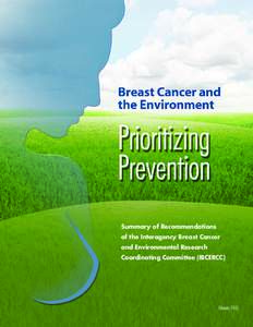 Summary of Recommendations of the Interagency Breast Cancer and Environmental Research Coordinating Committee (IBCERCC)	  February 2013