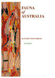 Pseudocheiridae / Petauridae / Common ringtail possum / Greater Glider / Mahogany glider / Pseudocheirus / Squirrel Glider / Sugar glider / Yellow-bellied Glider / Mammals of Australia / Possums / Gliding possums