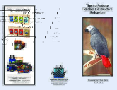 Tips to Reduce Feather Destructive Behaviors Products created with your bird’s health in mind