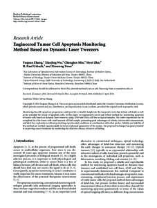 Engineered Tumor Cell Apoptosis Monitoring Method Based on Dynamic Laser Tweezers