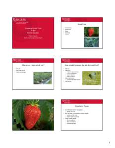 Microsoft PowerPoint - Growing Small Fruit short version 2013