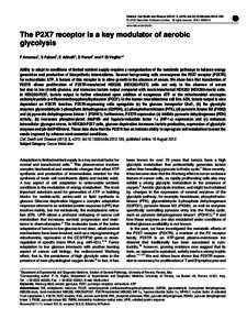 The P2X7 receptor is a key modulator of aerobic glycolysis