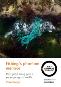 Fishing’s phantom menace How ghost fishing gear is endangering our sea life #seachange