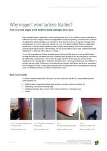 3E Technical Field Note | by Régis Decoret, Manager - Wind Energy Consultancy | May[removed]Why inspect wind turbine blades? How to avoid major wind turbine blade damage and costs Wind turbines blades, especially in harsh