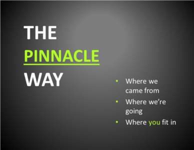 THE  WAY What’s the point? A few years back when Pinnacle Solutions was founded, Mike and Jimmy had a vision for the
