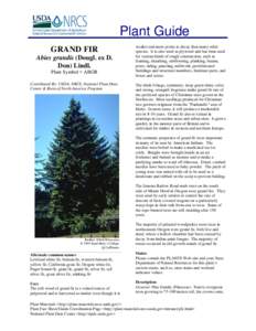 Plant Guide GRAND FIR Abies grandis (Dougl. ex D. Don) Lindl. Plant Symbol = ABGR Contributed By: USDA, NRCS, National Plant Data