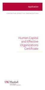 Application C EN T ER F O R EFF EC T I V E O R G A NI Z AT I O N S Human Capital and Effective Organizations