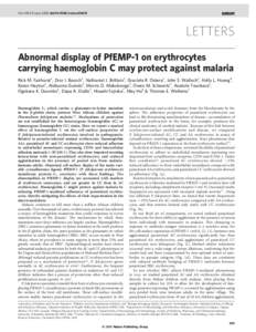 Malaria / Plasmodium / Hematology / Parasites / Plasmodium falciparum / CD36 / Red blood cell / Complement receptor 1 / Erythrocyte rosetting / Biology / Medicine / Anatomy