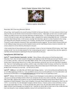 Ozarks Chapter Arkansas Native Plant Society  Claytonia virginica, Spring Beauty November 2013, Harmony Mountain Retreat All year long, I look forward to the annual meeting of OCANPS at Harmony Mountain. It is truly a we