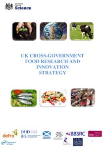 UK Cross Government Food Research and Innovation Strategy