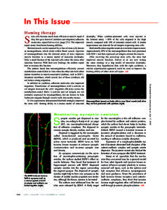 In This Issue H o m i n g t h e ra py tem cells become much more efficient at muscle repair if dystrophy. When cytokine-pretreated cells were injected in they first get a boost of cytokines and migratory adhesion the fem