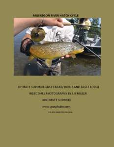 MUSKEGON RIVER HATCH CYCLE  BY MATT SUPINSKI-GRAY DRAKE/TROUT AND EAGLE LODGE INSECT/ALL PHOTOGRAPHY BY J.G MILLER AND MATT SUPINSKI www.graydrake.com
