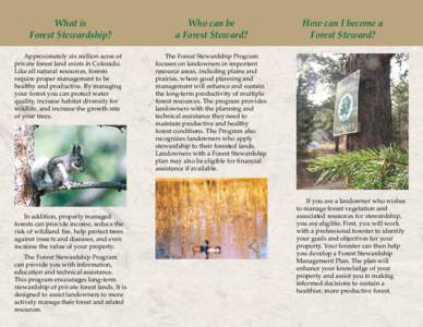 Forest Stewardship brochure