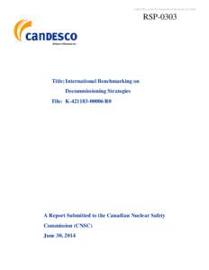 International Benchmarking on Decommissioning Strategies
