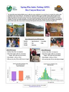 Spring Pike Index Netting (SPIN) Box Canyon Reservoir The Spring Pike Index Netting (SPIN) survey is a gill-net survey conducted on an annual basis to monitor the northern pike population in Box Canyon Reservoir. Gill ne