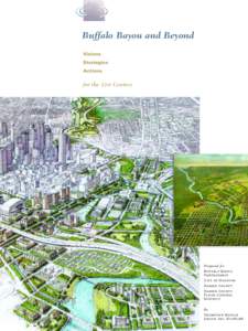 Buffalo Bayou and Beyond Visions Strategies Actions  for the 21st Century