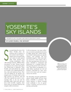sky islands--l page 2 copy