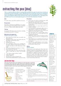 Simple extraction of DNA from peas  extracting the pea (dna) This is a crude but effective method of isolating DNA and RNA from peas. First, the tissue is broken up mechanically. Household detergent is used to degrade bo