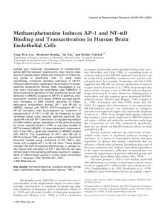 Journal of Neuroscience Research 66:583–[removed]Methamphetamine Induces AP-1 and NF-␬B Binding and Transactivation in Human Brain Endothelial Cells Yong Woo Lee,1 Bernhard Hennig,2 Jin Yao,3 and Michal Toborek1*