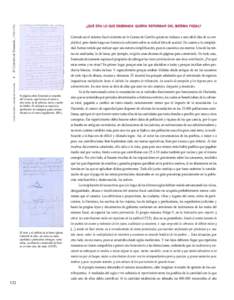 El Catastro de Ensenada, [removed]concepción camarero bullón ◗  ¿QUÉ ERA LO QUE ENSENADA QUERÍA REFORMAR DEL SISTEMA FISCAL?