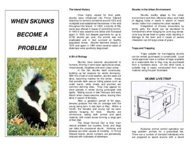 WHEN SKUNKS BECOME A PROBLEM The Island History