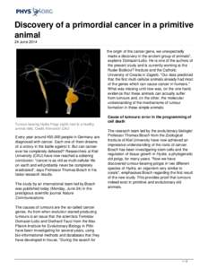 Cancer / Stem cell / Sex cord-gonadal stromal tumour / Biology / Medicine / Cancer research