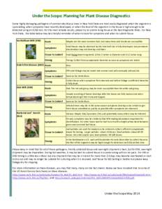 Tree diseases / Sordariomycetes / Leaves / Plant morphology / Oak wilt / Leaf scorch / Dutch elm disease / Bacterial leaf scorch / Leaf / Biology / Botany / Flora of the United States